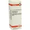 PHYTOLACCA D6 Fortynding, 20 ml