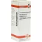 PULSATILLA D 12 Fortynding, 20 ml
