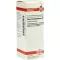 RHUS TOXICODENDRON D 12 Fortynding, 20 ml