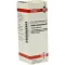 ROBINIA PSEUDACACIA D3-fortynding, 20 ml