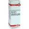 SALIX ALBA D 1 fortynding, 20 ml