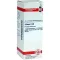 SILICEA D 30 Fortynding, 20 ml