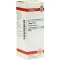 THUJA D 12 Fortynding, 20 ml