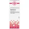 ABROTANUM D 2 Fortynding, 20 ml