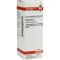 ARNICA D 12 Fortynding, 20 ml