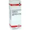 CAMPHORA D4-fortynding, 20 ml