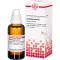 CARDIOSPERMUM D 2 Fortynding, 50 ml