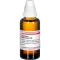 CAUSTICUM HAHNEMANNI D4-fortynding, 50 ml