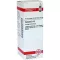 CONIUM D 12 Fortynding, 20 ml