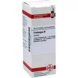 CRATAEGUS Moder tinktur, 20 ml