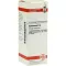 DULCAMARA D6 Fortynding, 20 ml