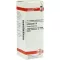 ECHINACEA HAB D6 Fortynding, 20 ml