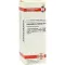 EQUISETUM ARVENSE D4-fortynding, 20 ml