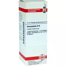 HAMAMELIS D6 Fortynding, 20 ml