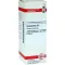 HAMAMELIS D6 Fortynding, 20 ml