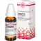 HARPAGOPHYTUM PROCUMBENS D3-fortynding, 20 ml