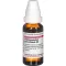 HARPAGOPHYTUM PROCUMBENS D3-fortynding, 20 ml