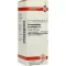 HARPAGOPHYTUM PROCUMBENS D6 Fortynding, 20 ml