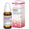HARPAGOPHYTUM PROCUMBENS D6 Fortynding, 20 ml