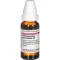 HARPAGOPHYTUM PROCUMBENS D6 Fortynding, 20 ml