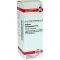 KALIUM CARBONICUM D 12 Fortynding, 20 ml