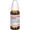 GNAPHALIUM POLYCEPHALUM D3-fortynding, 20 ml