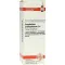 GNAPHALIUM POLYCEPHALUM D4-fortynding, 20 ml