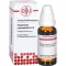 GNAPHALIUM POLYCEPHALUM D4-fortynding, 20 ml