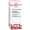GNAPHALIUM POLYCEPHALUM D4-fortynding, 20 ml