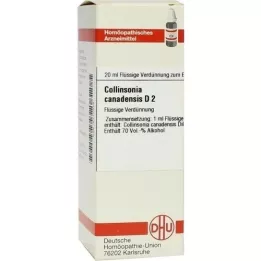 COLLINSONIA CANADENSIS D 2 Fortynding, 20 ml
