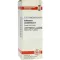 COLLINSONIA CANADENSIS D 2 Fortynding, 20 ml