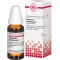 COLLINSONIA CANADENSIS D 2 Fortynding, 20 ml