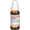 COLLINSONIA CANADENSIS D 2 Fortynding, 20 ml