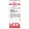 CHININUM ARSENICOSUM D 6 kugler, 10 g