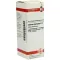 CARDUUS MARIANUS D 1 fortynding, 20 ml