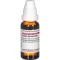 LILIUM TIGRINUM D 2 Fortynding, 20 ml