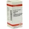 AGARICUS D 6 tabletter, 80 stk