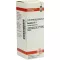AESCULUS D 1 fortynding, 20 ml