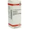 AESCULUS D6 Fortynding, 20 ml