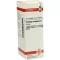 SOLIDAGO VIRGAUREA Moder tinktur, 20 ml