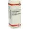 SOLIDAGO VIRGAUREA D3-fortynding, 20 ml