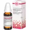 SOLIDAGO VIRGAUREA D3-fortynding, 20 ml