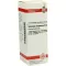 SOLIDAGO VIRGAUREA D6 Fortynding, 20 ml