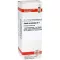 SABAL SERRULATUM D 1 fortynding, 20 ml