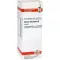 SALVIA OFFICINALIS Moder tinktur, 20 ml