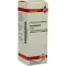 HAMAMELIS Moder tinktur, 20 ml