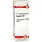 PHOSPHORUS D 8 Fortynding, 20 ml