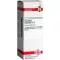PASSIFLORA INCARNATA D 2 Fortynding, 20 ml
