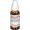 PETROSELINUM D6 Fortynding, 20 ml