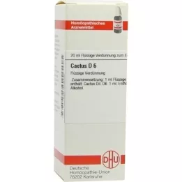 CACTUS D6 Fortynding, 20 ml
